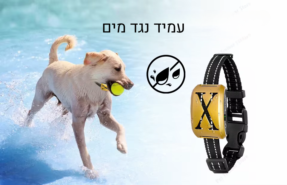 קולר נגד נביחות SilentGuard™