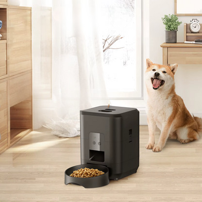 מתקן האכלה אוטומטי DogyDish™